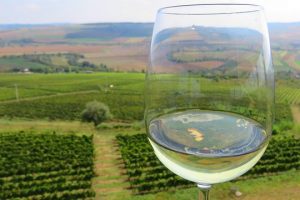 The-wine-route-by-bike-2