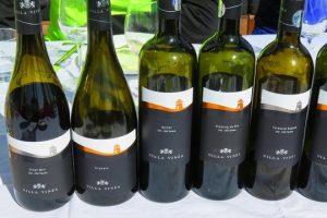 The-wine-route-by-bike-2-days-1