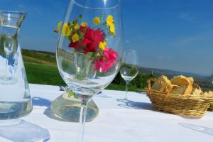 The-wine-route-by-bike-2-days