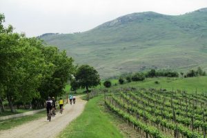 The-wine-route-by-bike-2-days-7