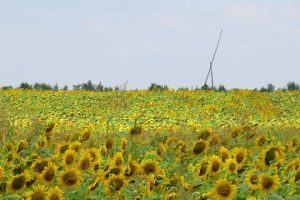 bike-near-Bucharest-1