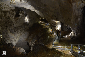 meziad cave
