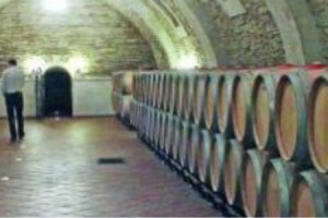 Road Wine Romania and Moldova cellar