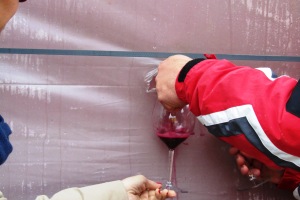 Vine tasting Dealu Mare