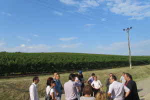 Vineyard guided visit wine tour