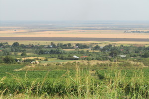 Wine route landscape
