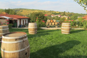 Wine route winery Dealu Mare