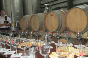 Wine tasting