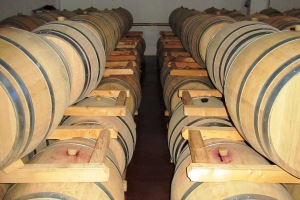 Winery Dealu Mare wine tasting
