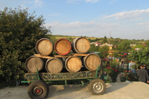 Winery wine route tour